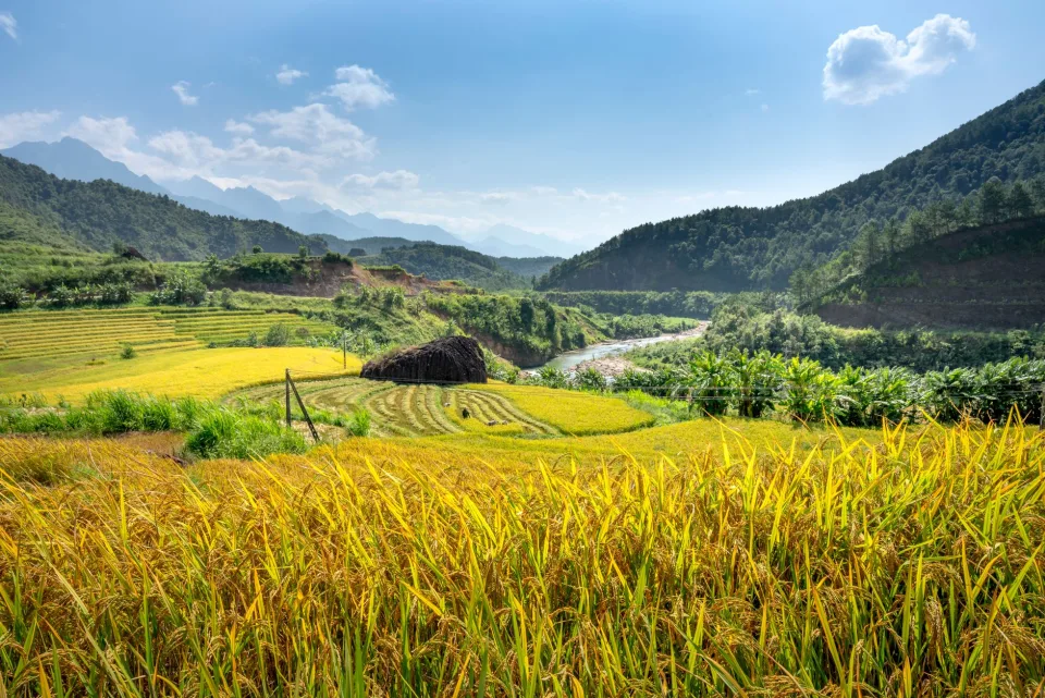Kho gạo của Alăng Thị Pari