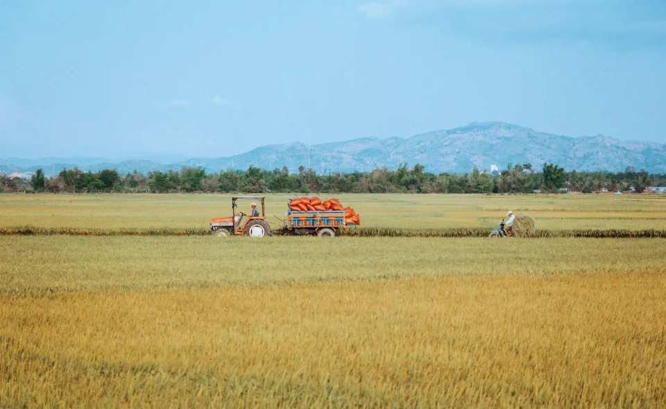 Kho gạo xếp bao